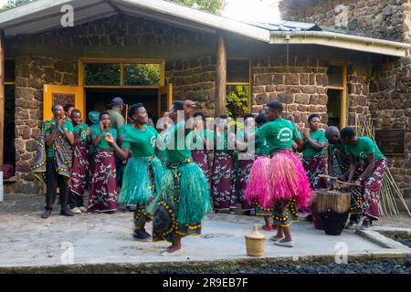 Un groupe de danseurs traditionnels qui divertit les visiteurs au parc national de Mgahinga Gorilla, en Ouganda Banque D'Images