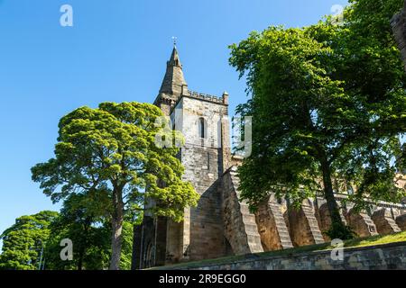 Dunfermline Abbey Fife, Écosse, Royaume-Uni Banque D'Images