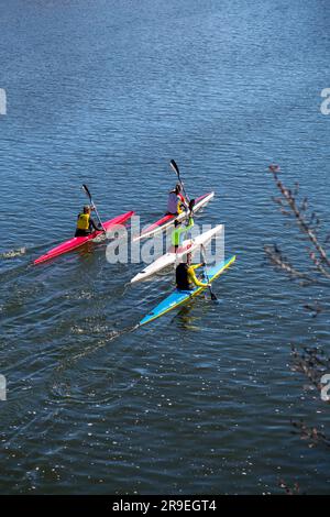 Salamanque, Espagne - 20 février 2022: Canoéistes pagayant à travers le fleuve Tormes à Salamanque, Castille et Léon, Espagne. Banque D'Images