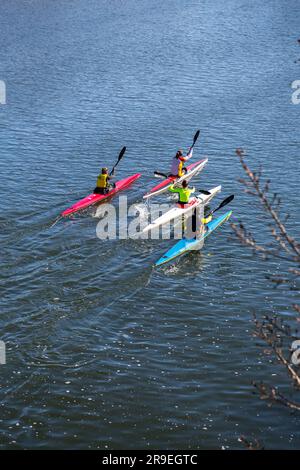 Salamanque, Espagne - 20 février 2022: Canoéistes pagayant à travers le fleuve Tormes à Salamanque, Castille et Léon, Espagne. Banque D'Images