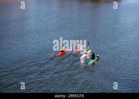 Salamanque, Espagne - 20 février 2022: Canoéistes pagayant à travers le fleuve Tormes à Salamanque, Castille et Léon, Espagne. Banque D'Images