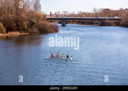 Salamanque, Espagne - 20 février 2022: Canoéistes pagayant à travers le fleuve Tormes à Salamanque, Castille et Léon, Espagne. Banque D'Images