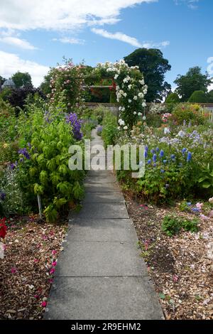 Treillis ou pergolas en bois recouverts de roses grimpantes et d'autres plantes à fleurs. Banque D'Images