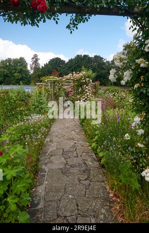 Treillis ou pergolas en bois recouverts de roses grimpantes et d'autres plantes à fleurs. Banque D'Images