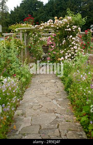 Treillis ou pergolas en bois recouverts de roses grimpantes et d'autres plantes à fleurs. Banque D'Images