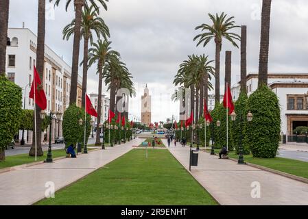 Magnifique avenue Mohammed V dans le centre-ville de Rabat, Maroc Banque D'Images