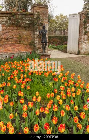 Angleterre, Sussex, East Sussex, Pashley Manor Gardens, Tulips in Bloom Banque D'Images