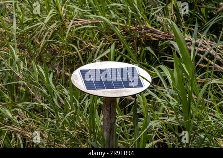 Panneau solaire sur un poteau au milieu de la grande herbe tropicale, Thaïlande Banque D'Images