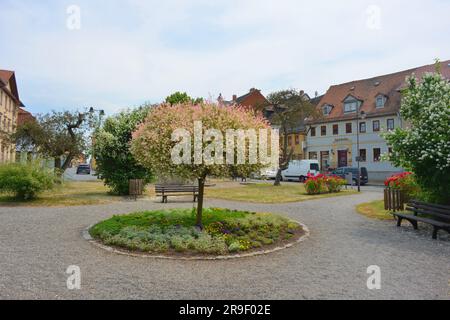 Place du marché à Bürgel, Allemagne avec fleurs et arbres en fleurs Banque D'Images