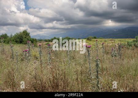 Un paysage de campagne avec des nuages couvants sombres en Céphalonie, Grèce Banque D'Images