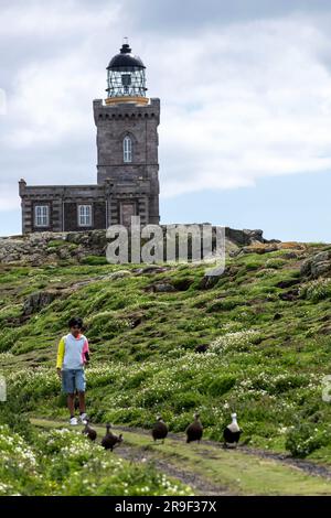 Phare de Robert Stevenson , Isle of May, Firth of Forth, Écosse, Royaume-Uni Banque D'Images