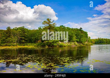 Egypt Meadows Lake dans la zone naturelle de la forêt nationale de Bruce Lake, Pocono Mountains, Pennsylvanie Banque D'Images