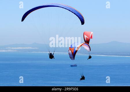 Parapente devant la face avant de Table Mountain ou avec une banlieue de la ville comme toile de fond. Banque D'Images