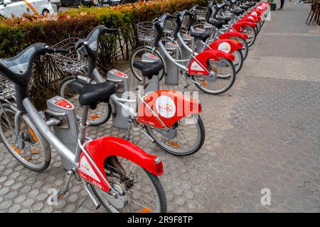 Séville, Espagne-24 FÉVRIER 2022: Vélos publics partagés garés à une gare de Séville, Espagne. Le service municipal est appelé Sevici. Banque D'Images