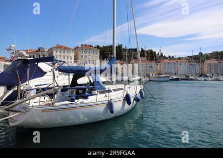 Istra - Slovénie et Croatie Voyage Banque D'Images