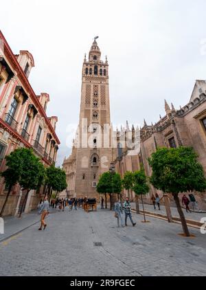 Séville, Espagne - 24 FÉVRIER 2022 : la Giralda est le clocher de la cathédrale de Séville. Il a été construit à l'origine comme minaret pour la Grande Mosquée de Séville Banque D'Images