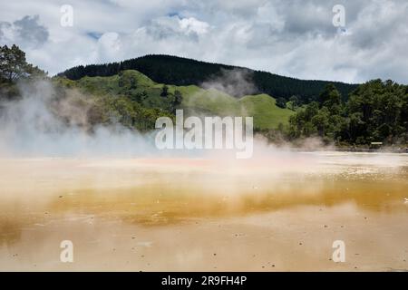 La piscine du lac Artists Palate à Waiotapu – Wai-o-tapu – Thermal Wonderland dans la région de Rotorua, en Nouvelle-Zélande. Photo : Rob Watkins Banque D'Images