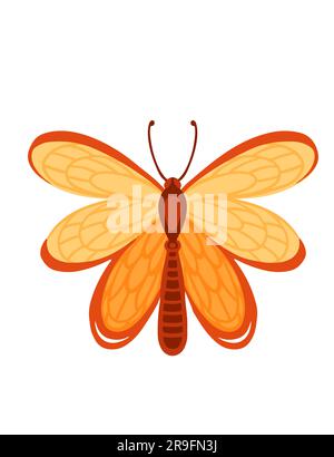 Papillon coloré insecte style dessin animé animal dessin vectoriel illustration isolée sur fond blanc Illustration de Vecteur