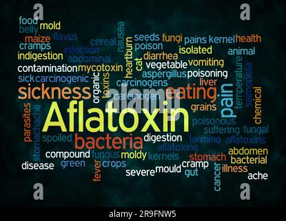 Nuage de mots avec AFLATOXINE concept créer avec texte seulement. Banque D'Images