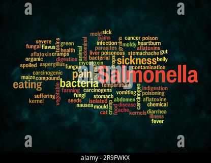 Word Cloud avec SALMONELLA concept créer avec du texte seulement. Banque D'Images