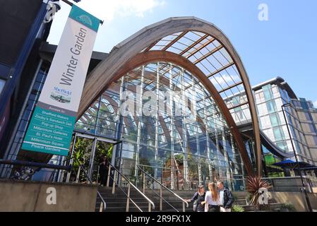 Sheffield Winter Gardens, une grande serre tempérée à Sheffield, dans le Yorkshire du Sud, est un endroit populaire auprès des habitants et des touristes, au Royaume-Uni Banque D'Images