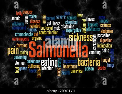 Word Cloud avec SALMONELLA concept créer avec du texte seulement. Banque D'Images