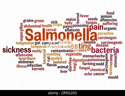 Word Cloud avec SALMONELLA concept créer avec du texte seulement. Banque D'Images