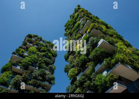 Milan Italie 24 juin 2023 : le Bosco Verticale est un complexe de deux tours résidentielles conçues par Boeri Studio et situées dans les affaires de Milan Banque D'Images