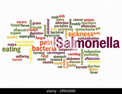 Word Cloud avec SALMONELLA concept créer avec du texte seulement. Banque D'Images