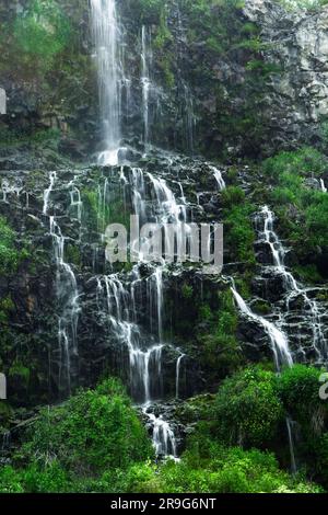 Une photo en gros plan des cascades luxuriantes de Thousand Springs près de Hagerman, Idaho. Banque D'Images