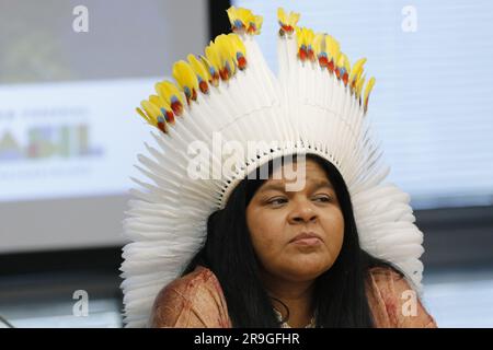 Portrait de Sônia Guajajara, Ministre brésilien des peuples autochtones Banque D'Images