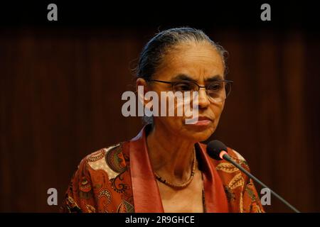 Portrait de Marina Silva le ministre brésilien de l'Environnement et du changement climatique Banque D'Images