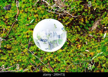 le globe en verre transparent de la planète repose sur l'herbe verte Banque D'Images