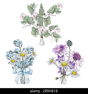 Ensemble de trois bouquets d'été de fleurs sauvages. Mullein, bindweed, fleur de cloche, Forget Me Not, camomille, korostavnik, fleur de maïs. Aquarelle Banque D'Images