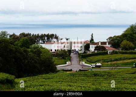 Ponta Delgada, Portugal - 5 juillet, 20223: Usine de thé Gorreana. C'est la plus ancienne plantation de thé d'Europe. Île de Sao Miguel, Açores Banque D'Images