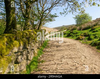 Sentier de randonnée West Dart Valley Walk, de près de Two Bridges, Dartmoor, Devon, Angleterre, Royaume-Uni Banque D'Images