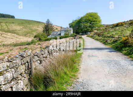 Sentier de randonnée pédestre West Dart Valley Walk, Crockern ferme, près de Two Bridges, Dartmoor, Devon, Angleterre, Royaume-Uni Banque D'Images