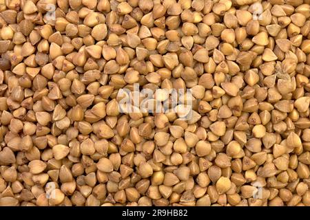 Gros plan des grains de sarrasin. Arrière-plan sarrasin sec, vue du dessus Banque D'Images