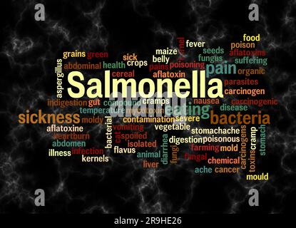 Word Cloud avec SALMONELLA concept créer avec du texte seulement. Banque D'Images