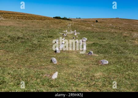 Colonie préhistorique de Merrivale, Dartmoor occidental, Princetown, Yelverton, Devon, Angleterre, Royaume-Uni: Lignes de pierre néolithique, cercles de pierre et monuments Banque D'Images