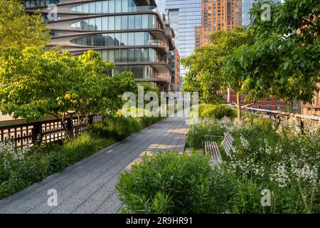 La promenade High Line Park en été. Voie verte surélevée au cœur de Chelsea, Manhattan. New York Banque D'Images