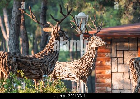 15 août 2022, Antalya, Turquie : sculptures de rameaux de dèrs créées à partir de branches et de parties en bois dans le parc Hayat Banque D'Images