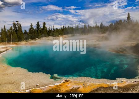 La vapeur s'élève au large de l'eau turquoise de la source chaude de Black Pool dans le bassin West Thumb Geyser du parc national de Yellowstone, comté de Teton, WY USA. Banque D'Images