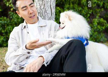 Crop asiatique propriétaire regardant l'adorable chien de Pomeranian et touchant l'animal doucement tout en appréciant l'été ensemble dans la nature verte Banque D'Images