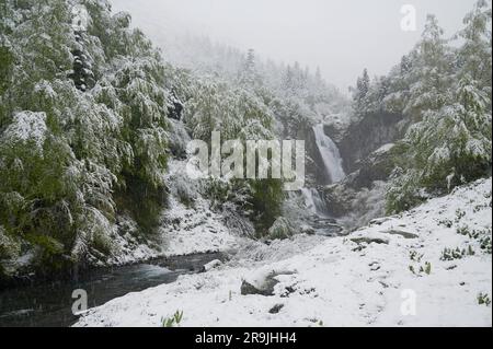 Vue majestueuse sur une chute d'eau dans les montagnes enneigées en hiver Banque D'Images