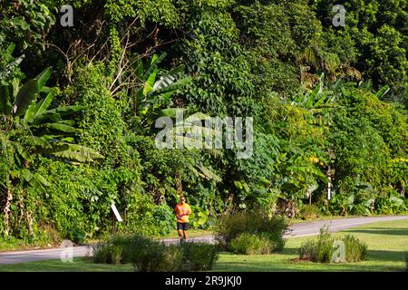 Un homme en forme mène sa course personnelle dans un endroit de verdure extérieur. Banque D'Images