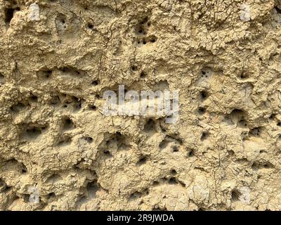 La zone des ballons de canon des collines et des montagnes des badlands dans le parc national Theodore Roosevelt, dans le Dakota du Nord. Banque D'Images