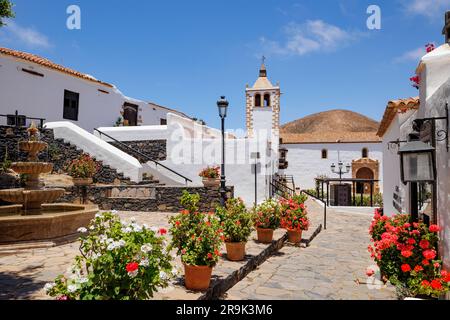 Fleurs colorées et scène de rue à la cathédrale de Santa Maria Betancuria, Fuerteventura îles Canaries Espagne Banque D'Images