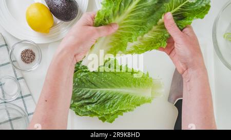 Feuilles de laitue verte fraîche gros plan sur fond blanc, plat, mains de femme. Recette de salade de laitue Banque D'Images