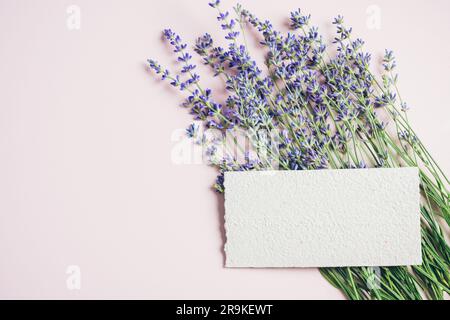 Fleurs de lavande, maquette en papier blanc faite maison sur fond rose. Banque D'Images